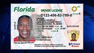 Florida License New Look August