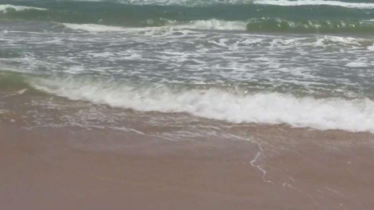 Dead teenager found in Florida waters