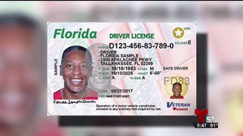 La_florida_estrena_licencias_de_conducir_.jpg