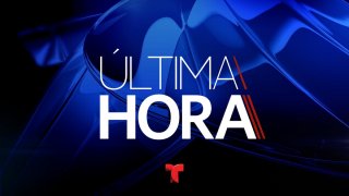 New ultima hora