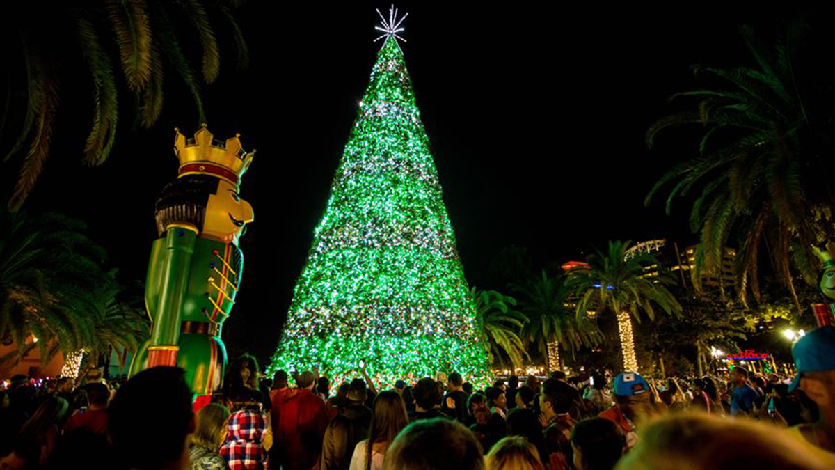 Estos son los árboles de Navidad más altos del mundo (y 2 están en