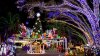 Luces de navidad toman el control en casas de Florida Central