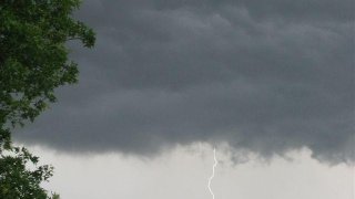 TLMD-arboles-caidos-por-tormentas-026