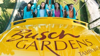 busch gardens