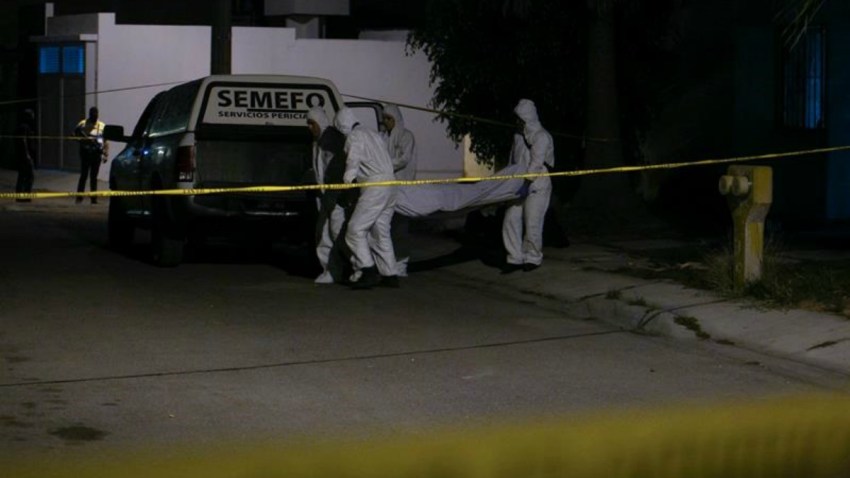 Officer Kills Dog After Attack