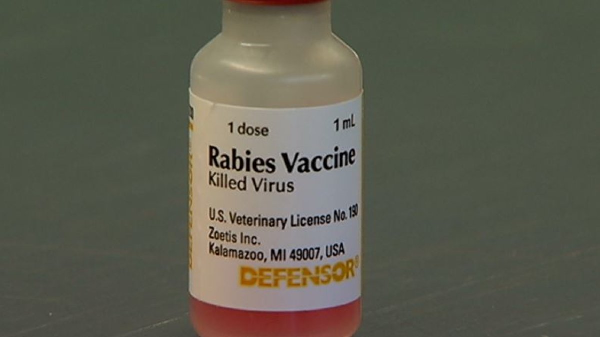 Warn of possible rabies contagion in Seminole