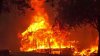 Devastadores incendios forestales: ¿hasta dónde nos llevará el cambio climático?