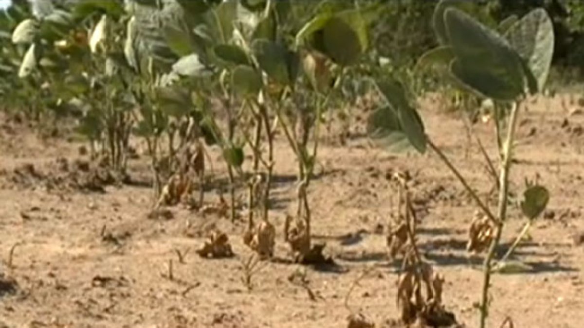 Florida faces severe drought, officials say