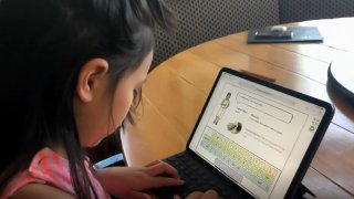 Niña mirando una computadora