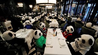 Los osos panda de peluche se sientan en las mesas del restaurante 'PINO' en el centro de Frankfurt am Main, Alemania, el 25 de noviembre de 2020. El propietario del restaurante llama a su instalación 'Panda-Mie', en la que los peluches panda gigante se sientan en las mesas colocadas en su lugar de invitados humanos. Los interesados pueden comprar uno de los ositos de peluche por 150 euros para apoyar al dueño del restaurante durante la pandemia de coronavirus.