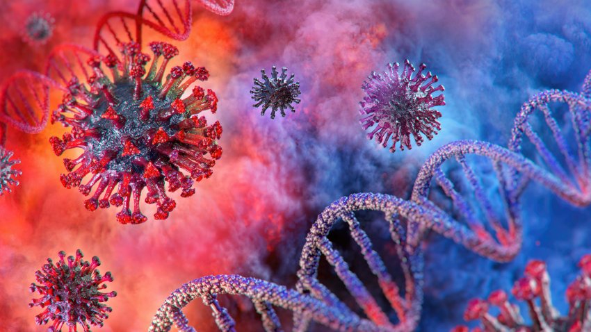 Más contagiosa y letal: qué se sabe de la variante del COVID-19 que se está propagando en California