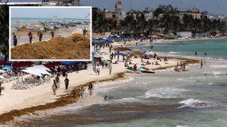 Trabajadores recolectan el 13 de abril de 2021, alga de sargazo en Playa del Carmen, en el estado de Quintana Roo (México). Las costas del estado mexicano de Quintana Roo recibieron los primeros recales masivos de sargazo de este año, con mayor afectación en los balnearios de Playa del Carmen, Cozumel, Tulum, Xcalak y Mahahual.