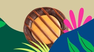 Galleta Adventurefuls de Girl Scouts