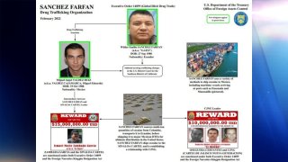 Organigrama de una célula de narcotráfico entre Ecuador y México