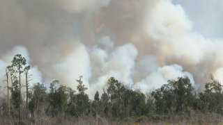 Incendios forestales Florida