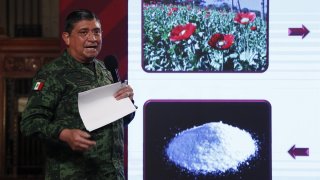 Secretario mexicano informa sobre decomisos de drogas
