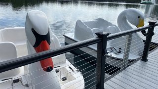 Inauguran nuevo embarcadero para los botes cisnes en Lake Eola