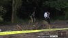 Hallan restos humanos en zona de construcción en Pine Hills