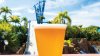 Vuelve la cerveza gratis a SeaWorld Orlando