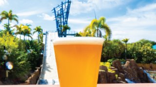 SeaWorld Orlando cerveza gratis