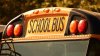 Tragedia mortal: acusan a conductor de atropellar a adolescente mientras esperaba por autobús escolar