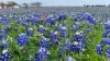 No son 12 horas exactas: ¿cuánto dura el primer día de primavera?
