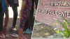 De Florida a California: ¿migrantes fueron engañados y abandonados?
