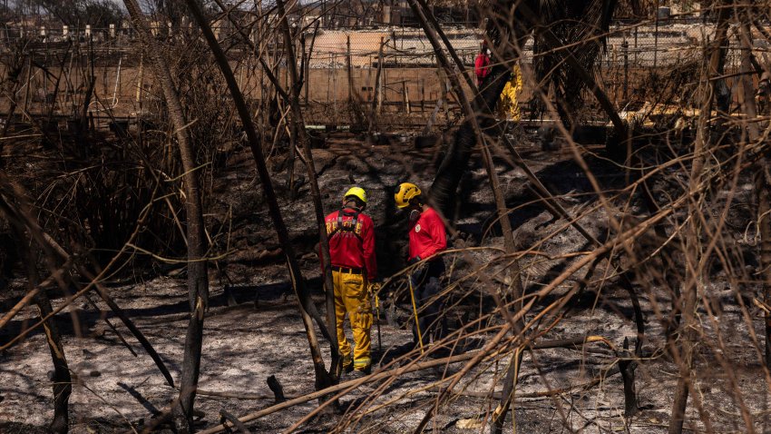 Miembros de un equipo de búsqueda y recuperación revisan edificios y coches carbonizados tras los incendios forestales de Maui, en Lahaina, Hawaii, el 18 de agosto de 2023.