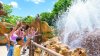 Abre la atracción “Journey of Water”, dedicada a Moana, en parques de Disney World