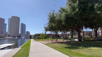 Encuentran cadáver de bebé en la Universidad de Tampa
