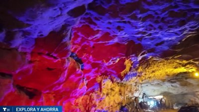 Explora y Ahorra: descubre una cueva en Florida a bajo costo