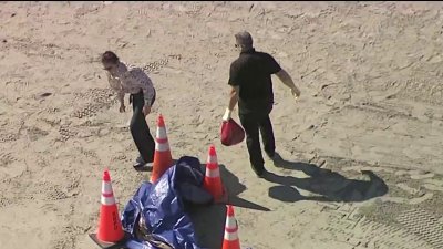 Investigan hallazgo de una cabeza humana en la playa de Florida