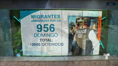 Más de 2,600 inmigrantes han sido detenidos desde toma de posesión de Trump