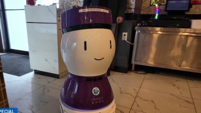 Robots meseros cada vez más tendencia en EE.UU. y en Orlando conocimos a “Peanut”