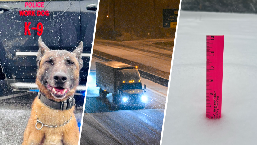 The Florida Highway Patrol shared several images of the preparations—and joy—and urged residents to stay off the icy roads.