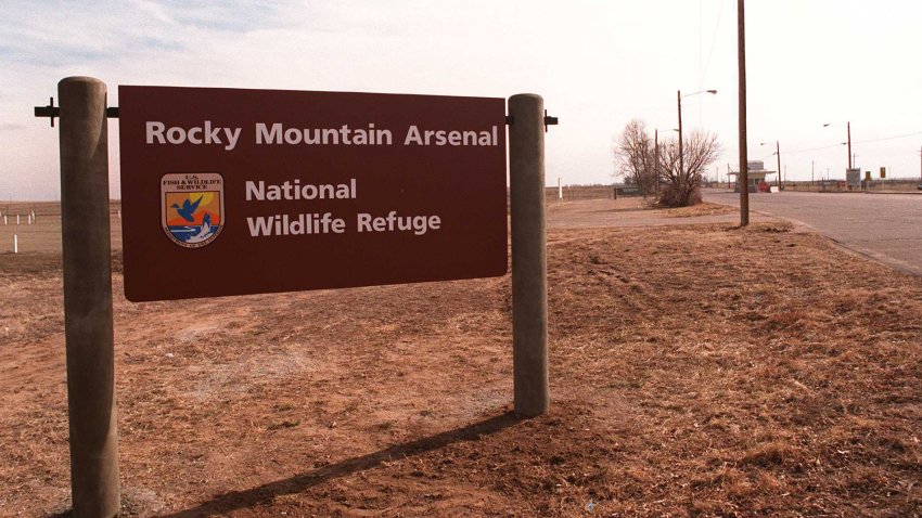 3/6/98.Denver, Colorado, The Rock Mountain Arsenal,an area that has beed designated as a toxic risk and is part of an EPA cleanup program since the 1980’s