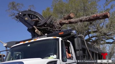 Comienzan labores de reconstrucción tras paso de tornado en Seminole