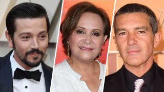 Los actores Diego Luna, Adriana Barraza y Antonio Banderas son algunos de los que han recibido un Premio PLATINO.