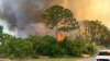 Levantan órdenes de desalojo en Palm Bay por incendios en la zona