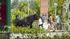 Florida prohíbe la matrícula a estudiantes sin estatus migratorio en universidades públicas
