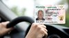 Nuevas licencias en Florida indicarán estatus migratorio a partir de 2027