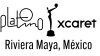 Premios PLATINO XCARET del cine y la televisión iberoamericana llegan en vivo a Universo y Telexitos