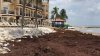 Récord de sargazo en Quintana Roo, México